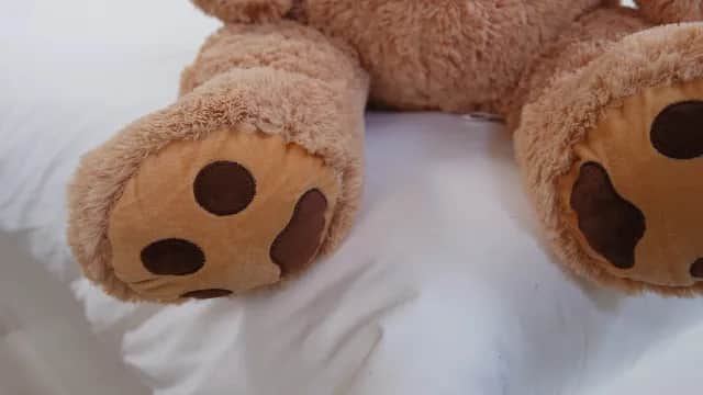 Gdzie można kupić ogromnego pluszowego misia w najlepszych cenach