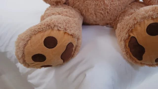 Gdzie można kupić ogromnego pluszowego misia w najlepszych cenach