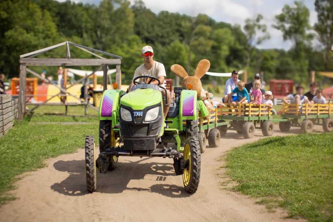 Gdzie z dzieckiem w Trójmieście? Odkryj najlepsze atrakcje dla rodzin
