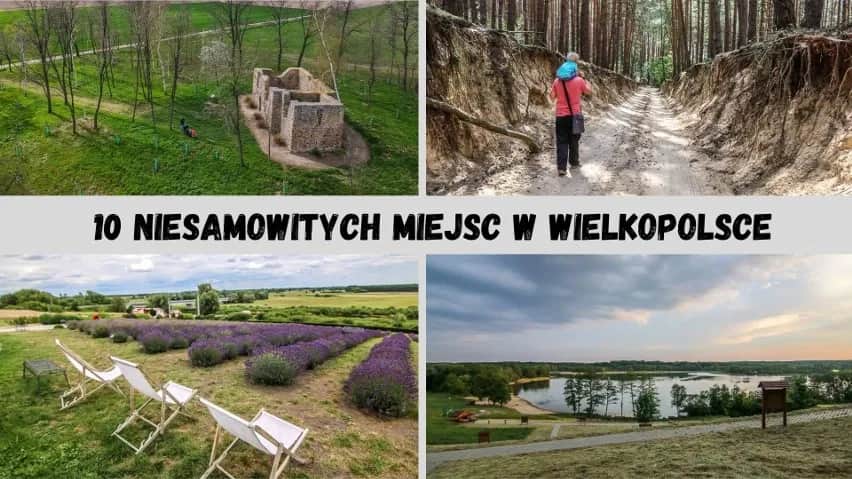 Gdzie z dzieckiem w Wielkopolsce? Odkryj najlepsze atrakcje dla rodzin