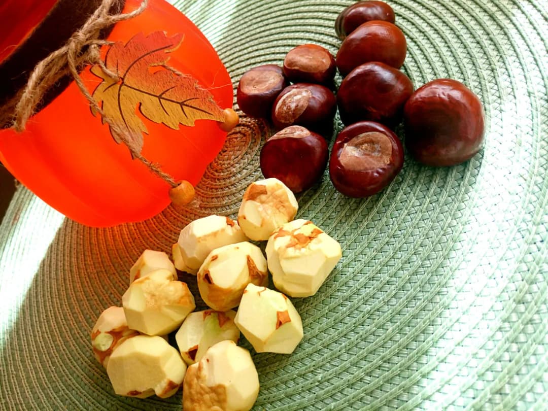 Jak zrobić strój kasztana dla dziecka – łatwe i kreatywne pomysły Jak zrobić strój kasztana dla dziecka – łatwe i kreatywne pomysły