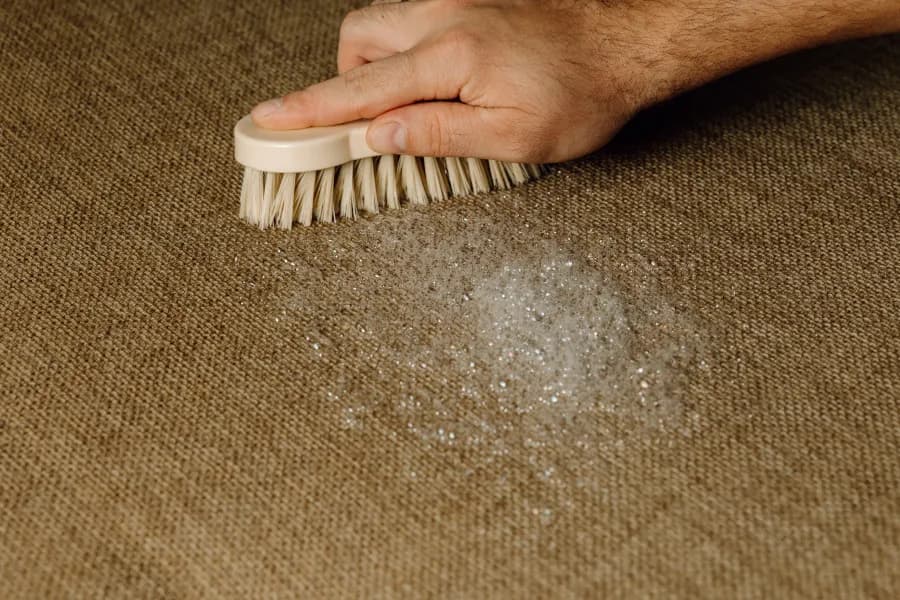 Jak prac dywan pluszowy, aby uniknąć zniszczeń i plam